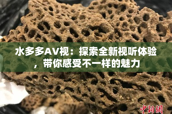 水多多AV视：探索全新视听体验，带你感受不一样的魅力