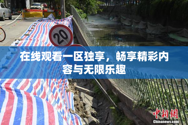 在线观看一区独享，畅享精彩内容与无限乐趣