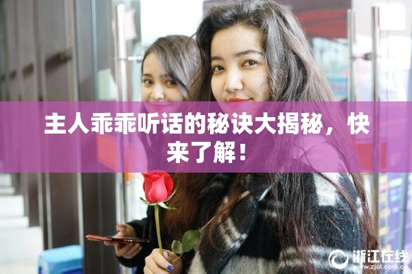 主人乖乖听话的秘诀大揭秘，快来了解！