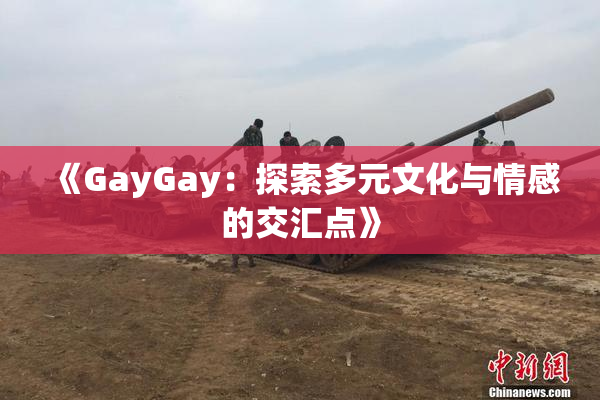 《GayGay：探索多元文化与情感的交汇点》