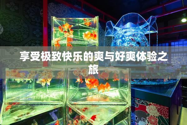享受极致快乐的爽与好爽体验之旅