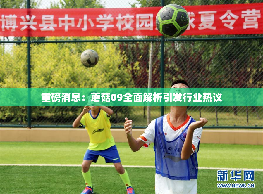 重磅消息：蘑菇09全面解析引发行业热议