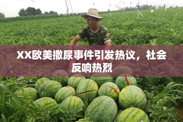 XX欧美撒尿事件引发热议，社会反响热烈