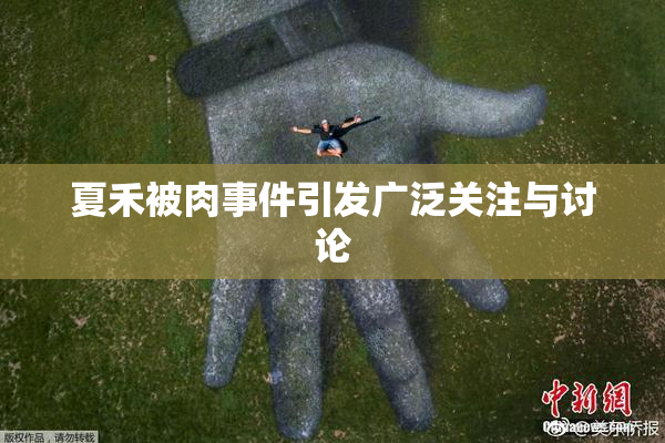 夏禾被肉事件引发广泛关注与讨论