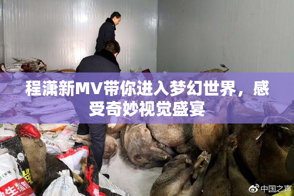 程潇新MV带你进入梦幻世界，感受奇妙视觉盛宴