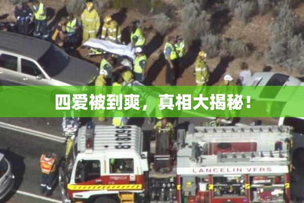 四爱被到爽，真相大揭秘！