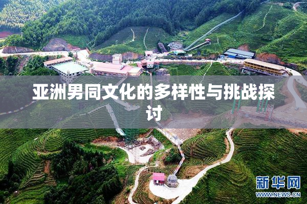 亚洲男同文化的多样性与挑战探讨