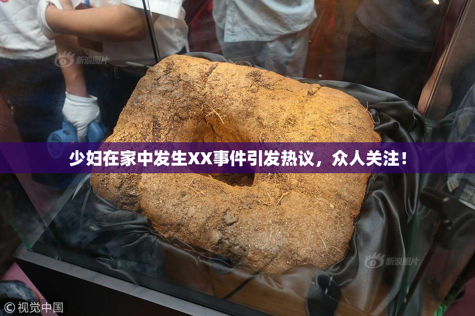 少妇在家中发生XX事件引发热议，众人关注！