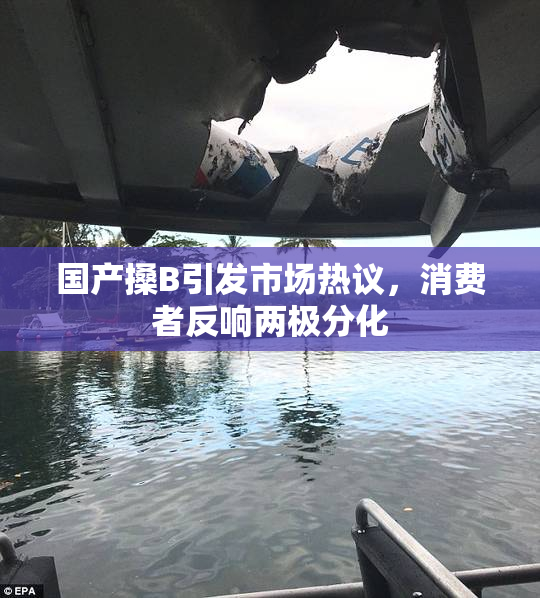 国产搡B引发市场热议，消费者反响两极分化