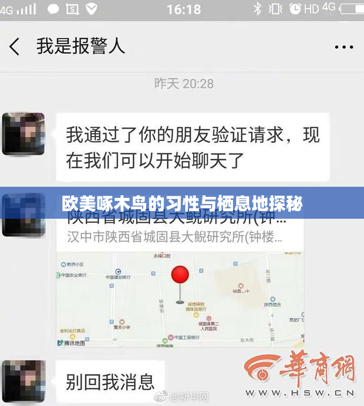 欧美啄木鸟的习性与栖息地探秘