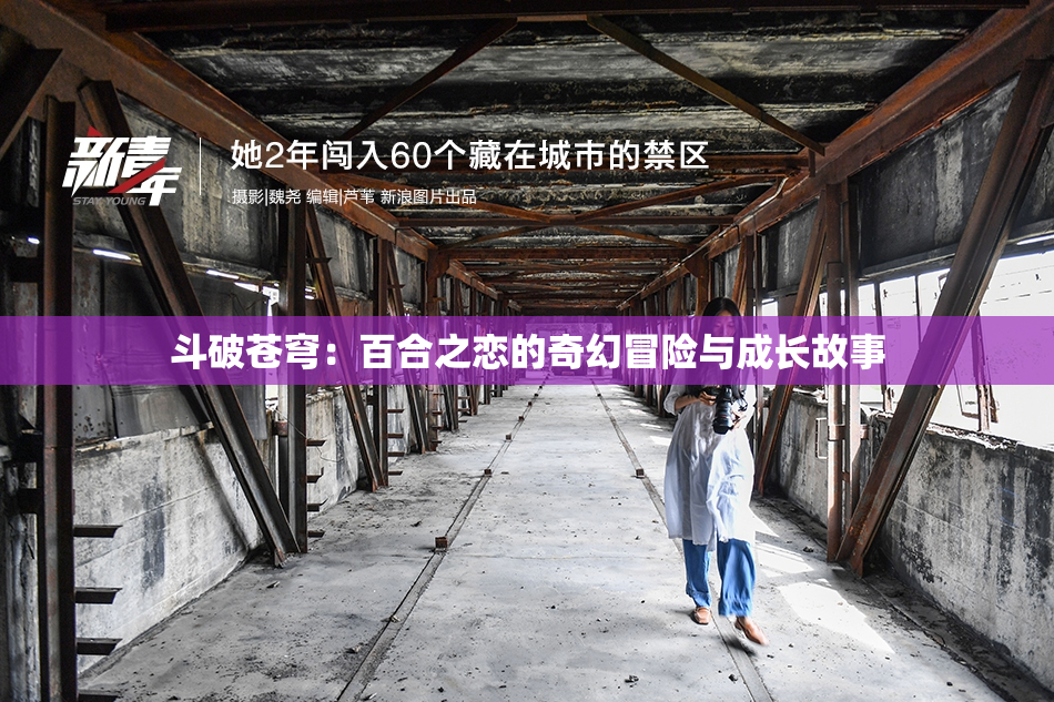 斗破苍穹：百合之恋的奇幻冒险与成长故事