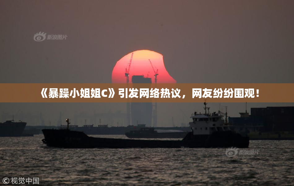 《暴躁小姐姐C》引发网络热议，网友纷纷围观！