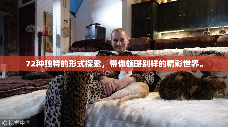 72种独特的形式探索，带你领略别样的精彩世界。