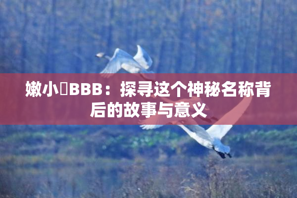 嫩小槡BBB：探寻这个神秘名称背后的故事与意义