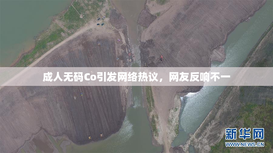 成人无码Co引发网络热议，网友反响不一