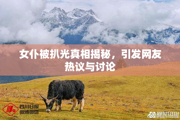 女仆被扒光真相揭秘，引发网友热议与讨论