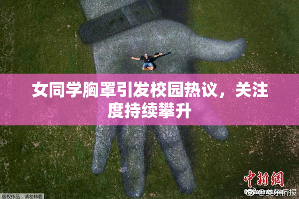 女同学胸罩引发校园热议，关注度持续攀升