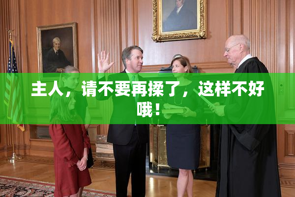 主人，请不要再揉了，这样不好哦！