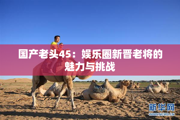 国产老头45：娱乐圈新晋老将的魅力与挑战