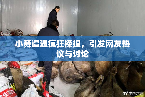 小舞遭遇疯狂揉捏，引发网友热议与讨论