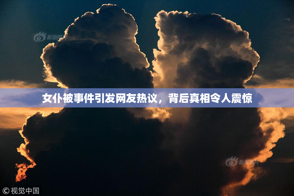 女仆被事件引发网友热议，背后真相令人震惊