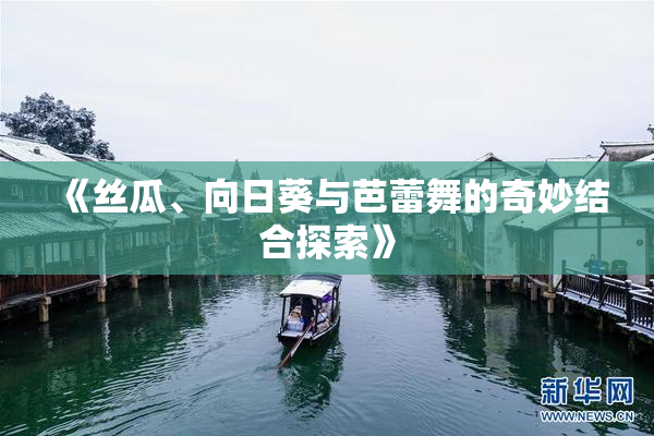 《丝瓜、向日葵与芭蕾舞的奇妙结合探索》