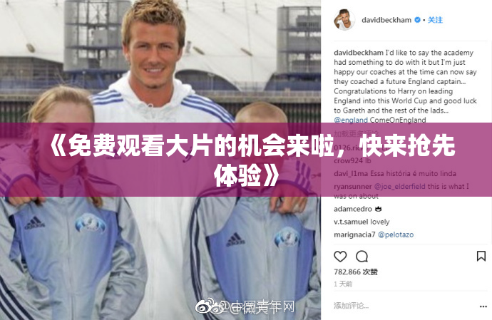 《免费观看大片的机会来啦，快来抢先体验》
