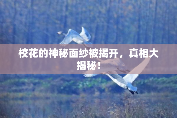 校花的神秘面纱被揭开，真相大揭秘！