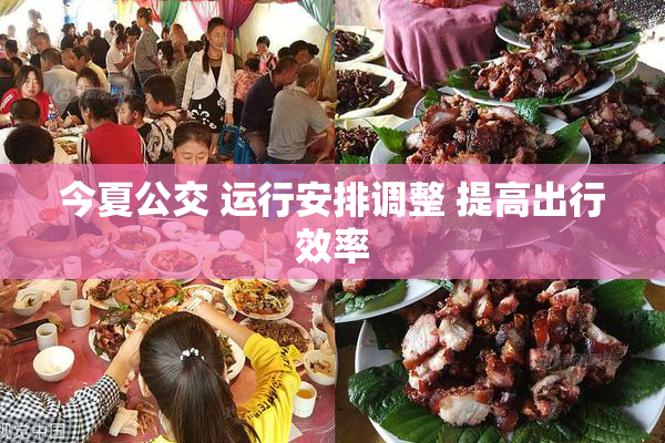今夏公交 运行安排调整 提高出行效率