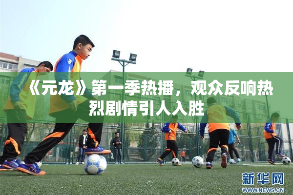《元龙》第一季热播，观众反响热烈剧情引人入胜