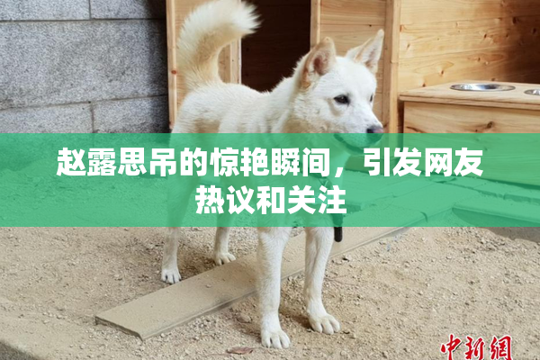 赵露思吊的惊艳瞬间，引发网友热议和关注