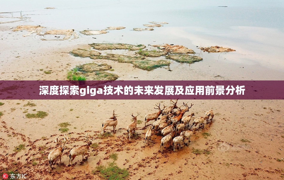 深度探索giga技术的未来发展及应用前景分析