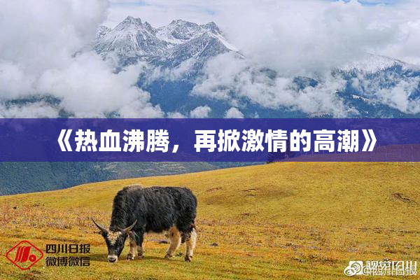 《热血沸腾，再掀激情的高潮》