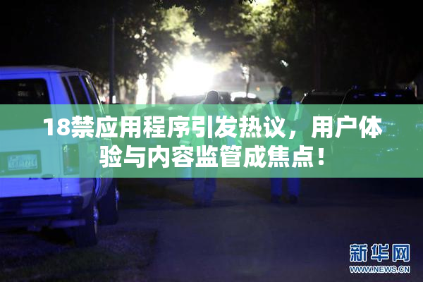 18禁应用程序引发热议，用户体验与内容监管成焦点！