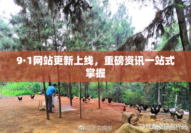 9·1网站更新上线，重磅资讯一站式掌握