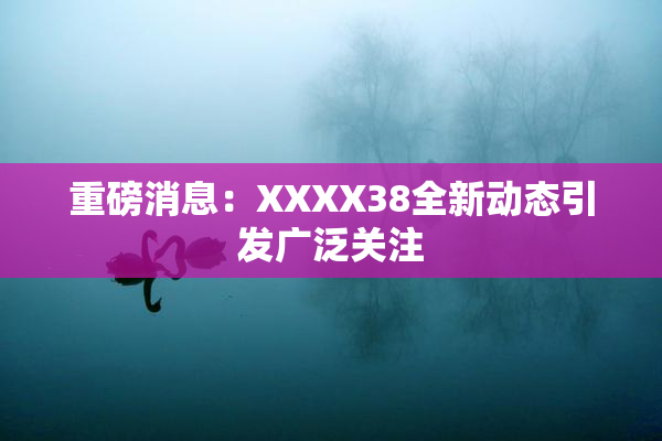 重磅消息：XXXX38全新动态引发广泛关注