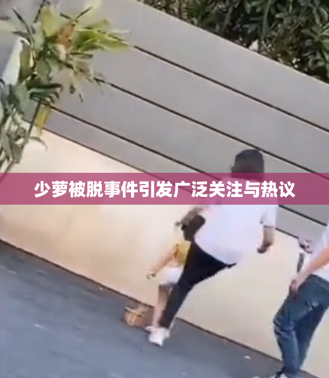少萝被脱事件引发广泛关注与热议