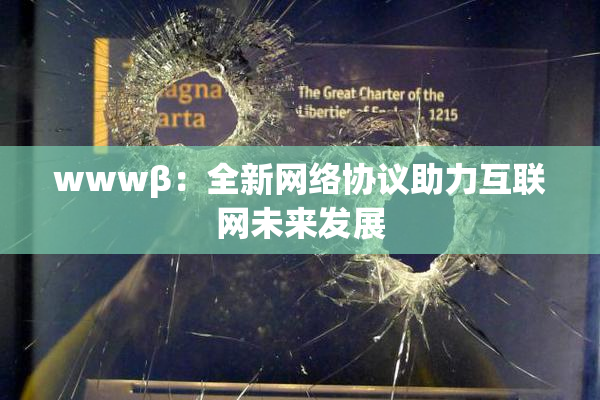 wwwβ：全新网络协议助力互联网未来发展