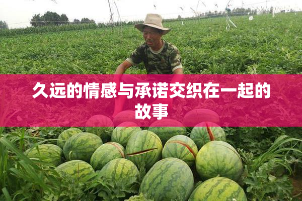 久远的情感与承诺交织在一起的故事
