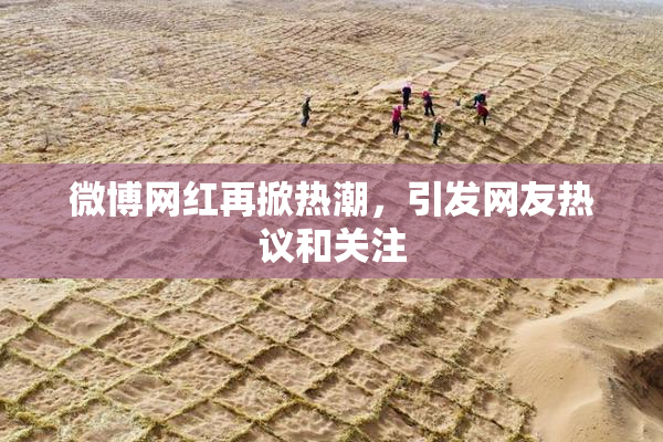 微博网红再掀热潮，引发网友热议和关注