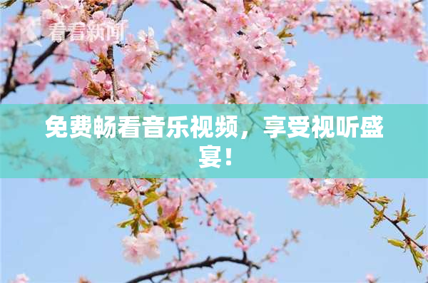 免费畅看音乐视频，享受视听盛宴！