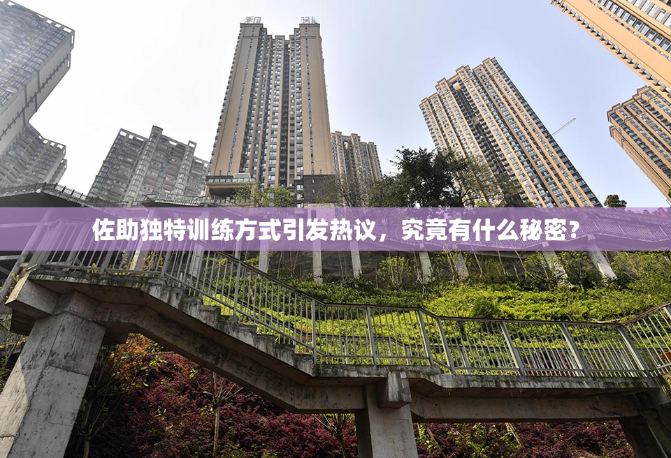 佐助独特训练方式引发热议，究竟有什么秘密？