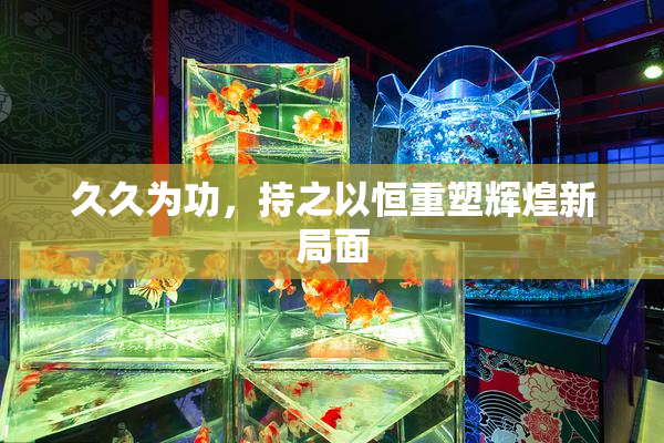 久久为功，持之以恒重塑辉煌新局面