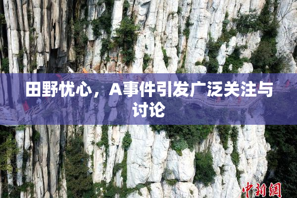 田野忧心，A事件引发广泛关注与讨论