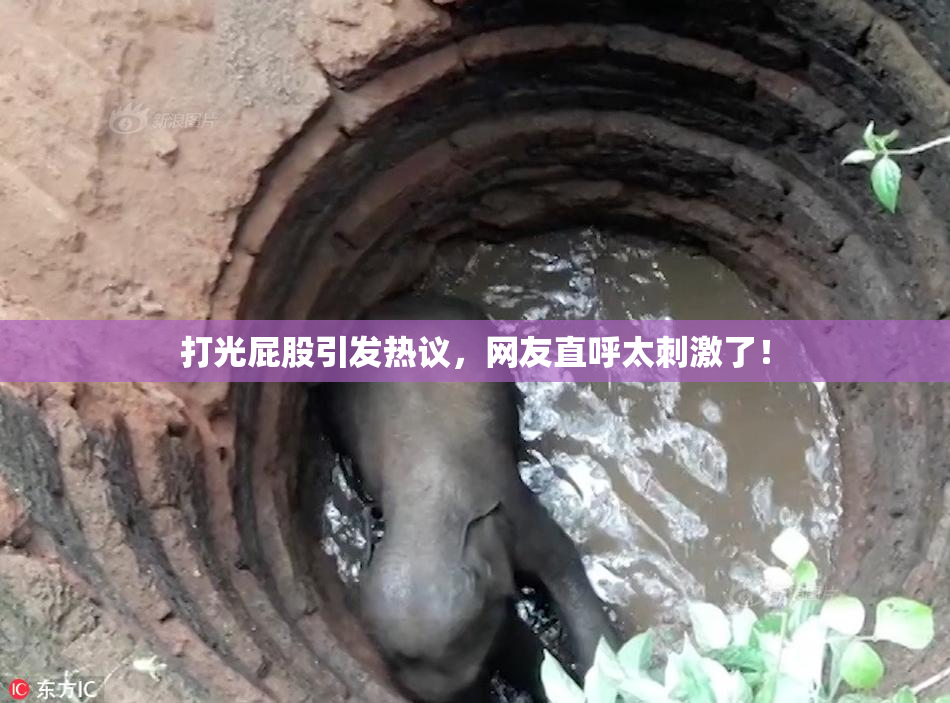 打光屁股引发热议，网友直呼太刺激了！