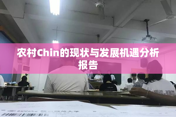 农村Chin的现状与发展机遇分析报告