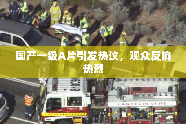 国产一级A片引发热议，观众反响热烈