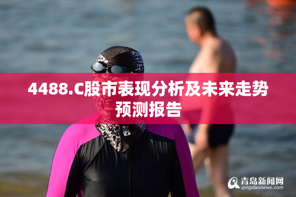 4488.C股市表现分析及未来走势预测报告