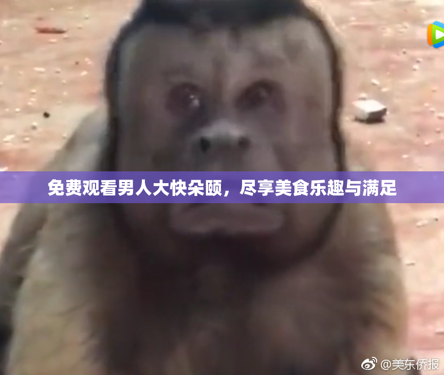 免费观看男人大快朵颐，尽享美食乐趣与满足