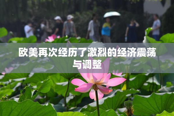 欧美再次经历了激烈的经济震荡与调整
